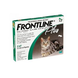 חתולים - פרעושים וקרציות